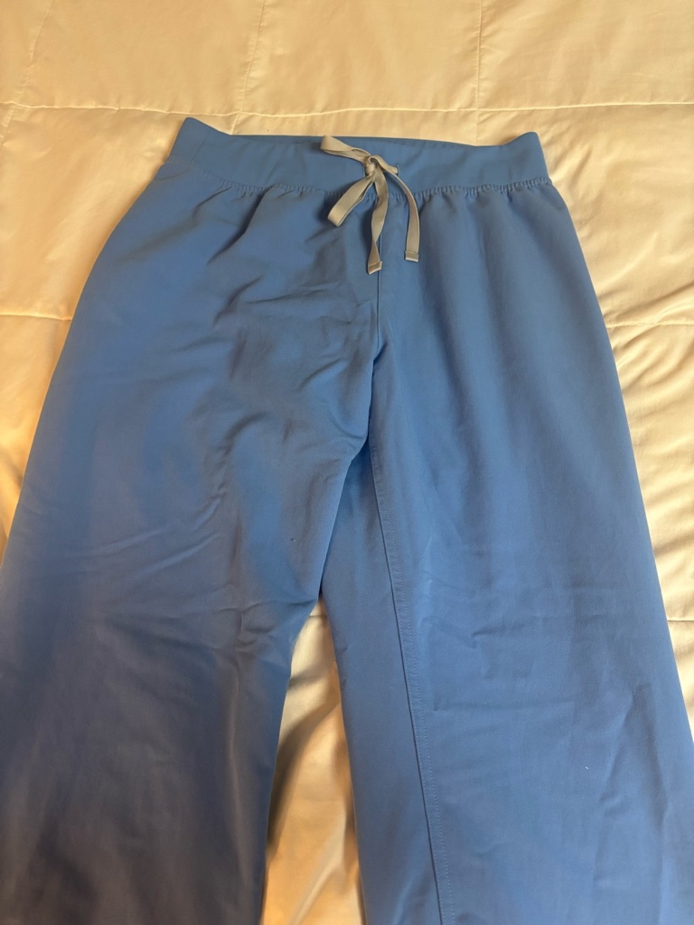Figs Women’s Livingston Scrub Pants Ceil Blue L